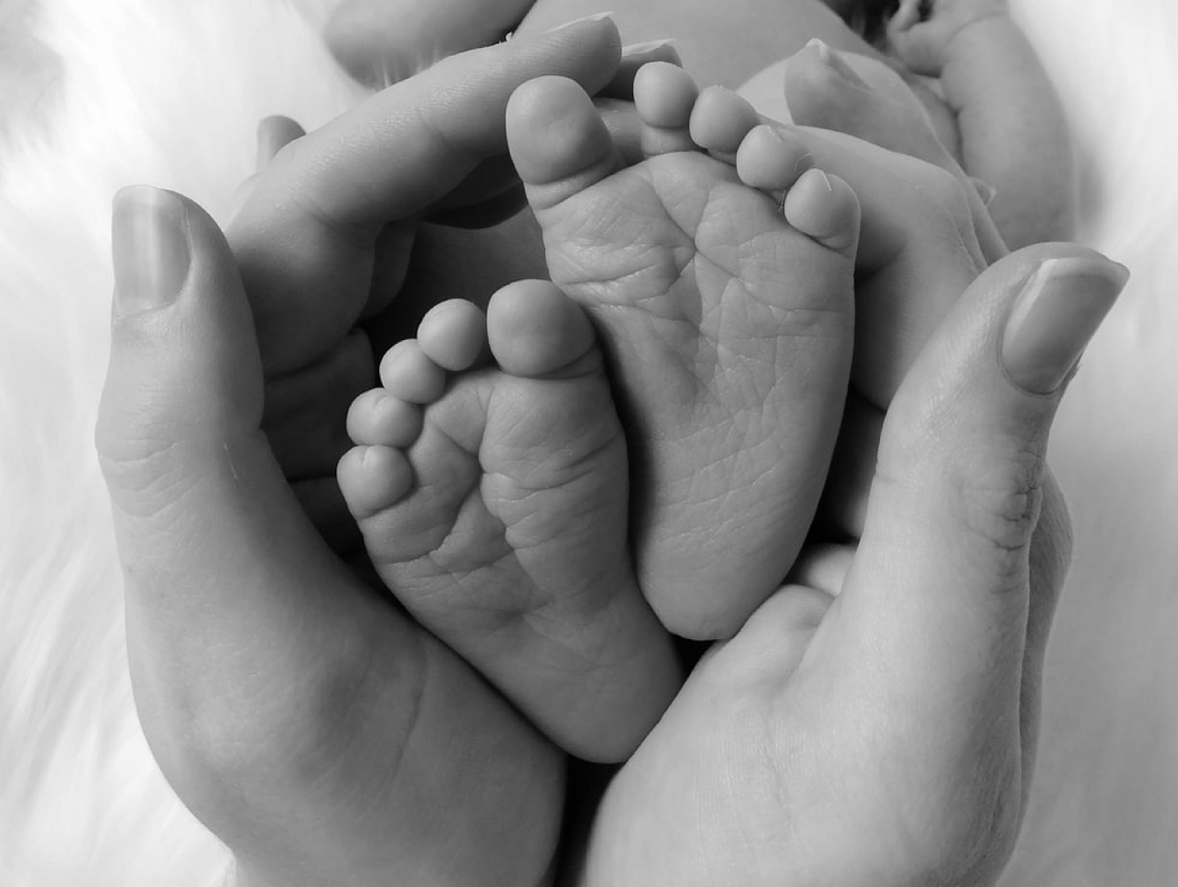 Western New York Perinatal Bereavement Network, Inc. (WNYPBN)