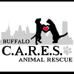 Buffalo C.A.R.E.S Animal Rescue  logo