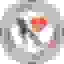 Shadows Veterinarian Relief Trust logo placeholder