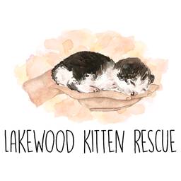 Lakewood Kitten Rescue Inc logo