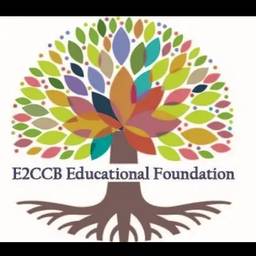 Erie 2-Chautauqua-Cattaraugus BOCES Educational Foundation Inc logo