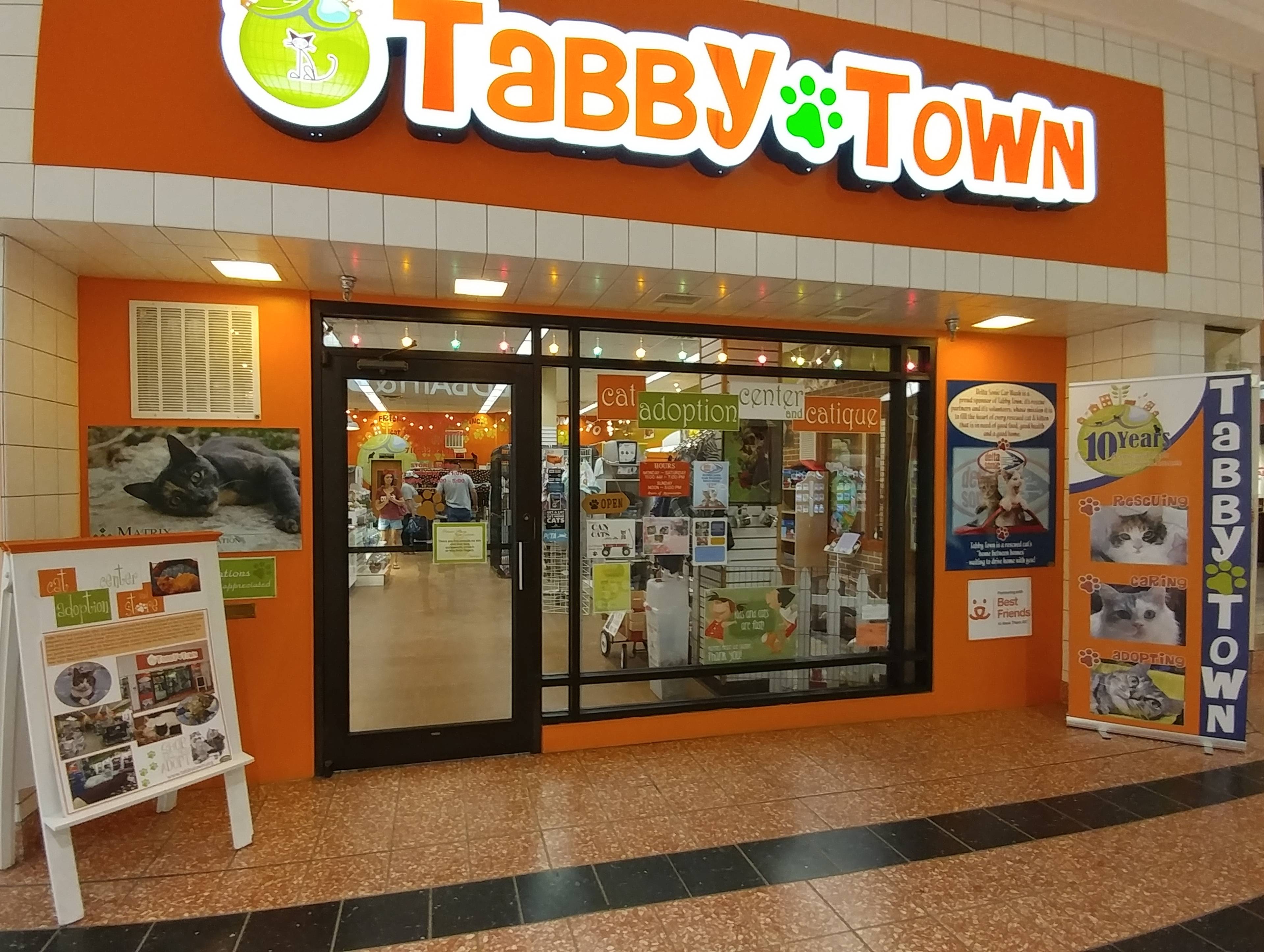 Tabby Town (Friends for Felines, Inc.)