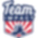 Team Impact Inc logo placeholder