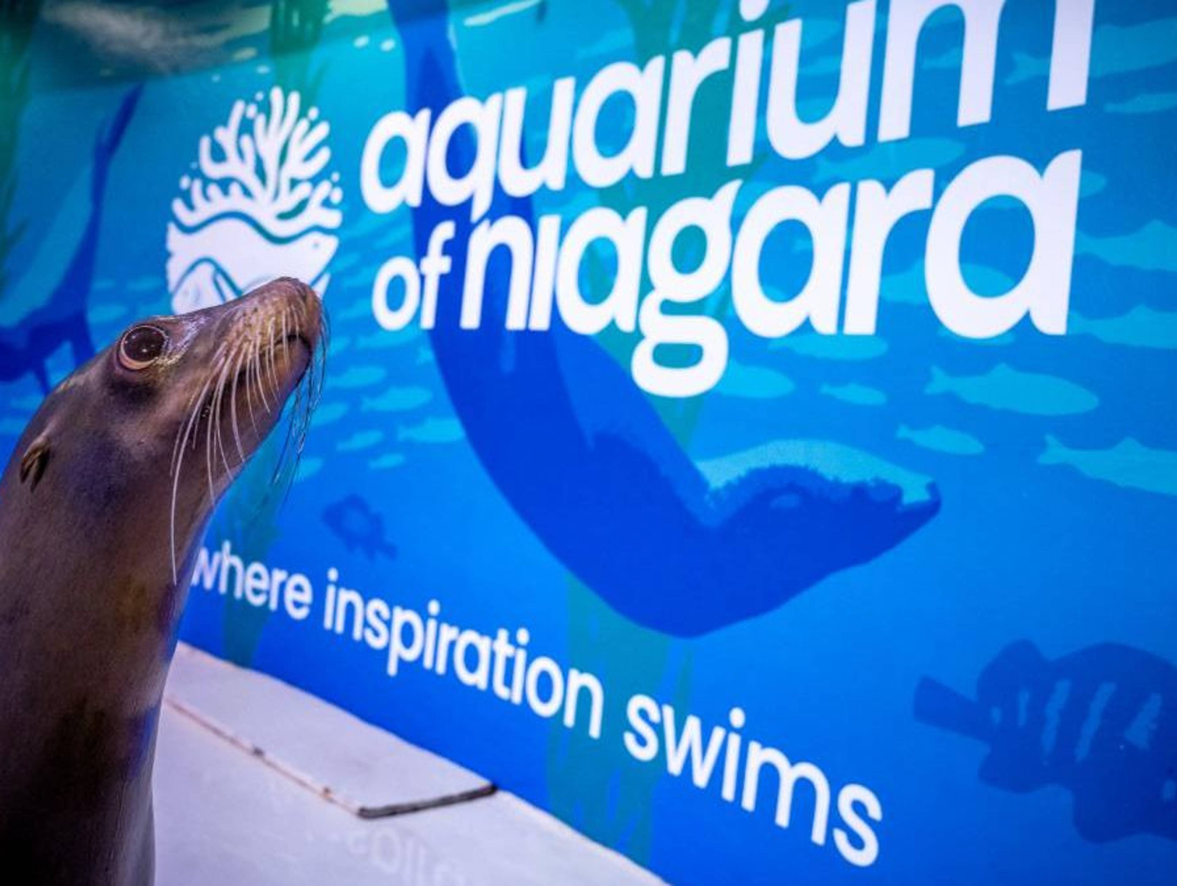 Aquarium of Niagara