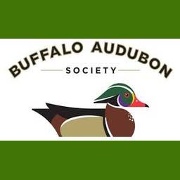 Beaver Meadow Nature Center & Buffalo Audubon Society logo
