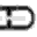 Ctd Sports Inc logo placeholder