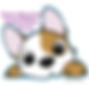 Rocky Mountain French Bulldog Rescue logo placeholder