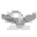 A Second Chance For W I N G S logo placeholder