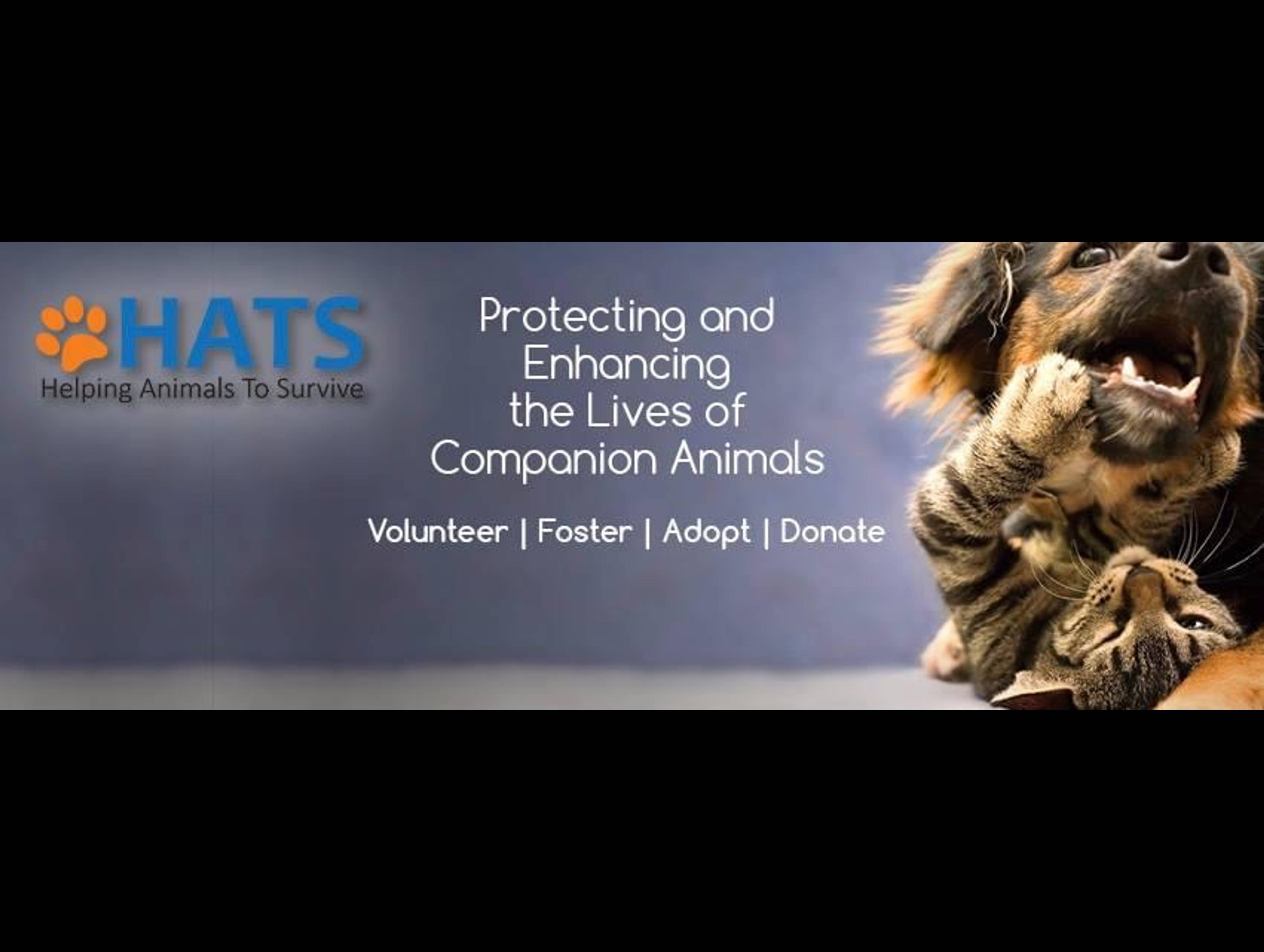 Helping Animals To Survive