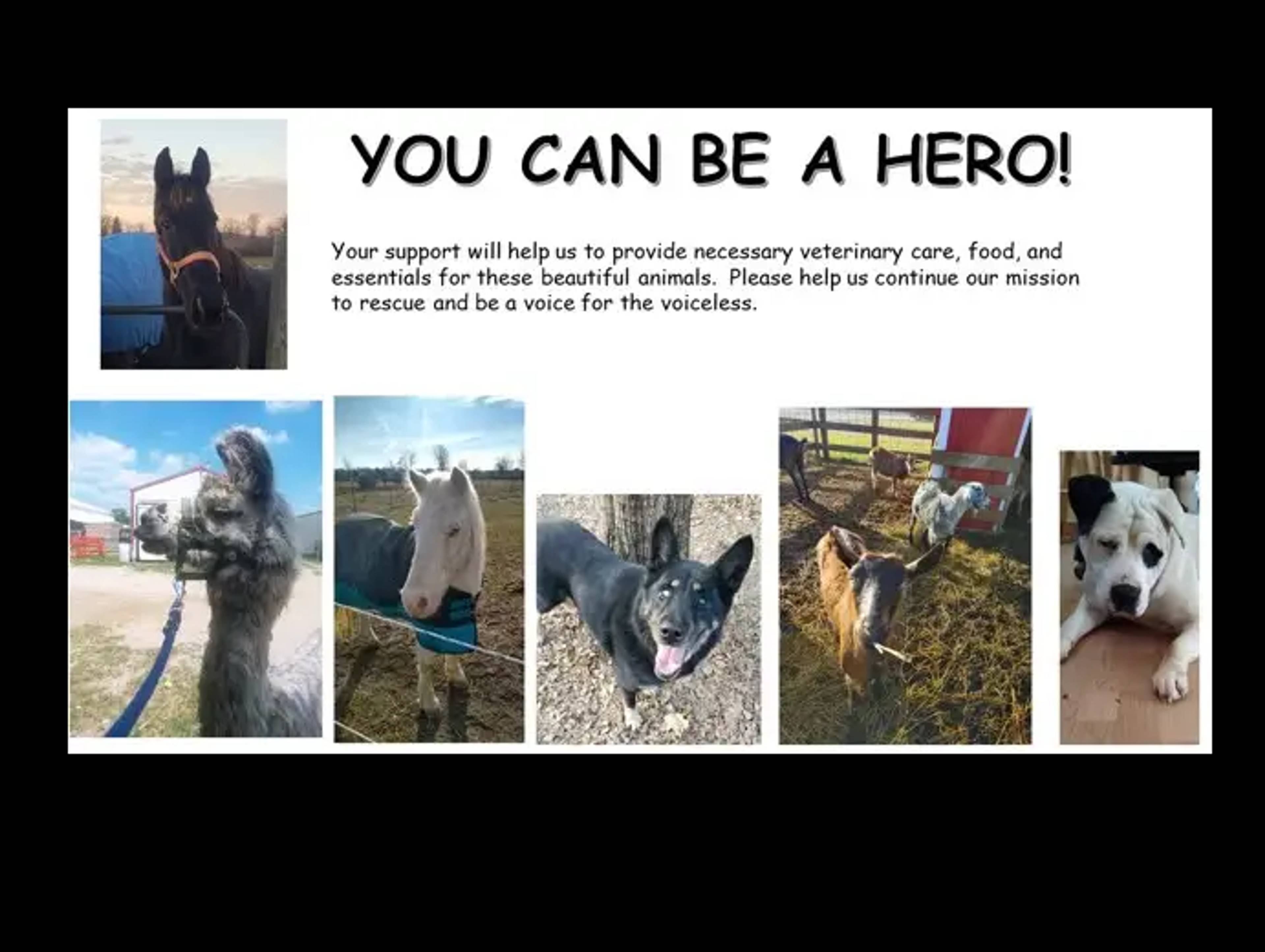 Glory Bound Rescue Ranch
