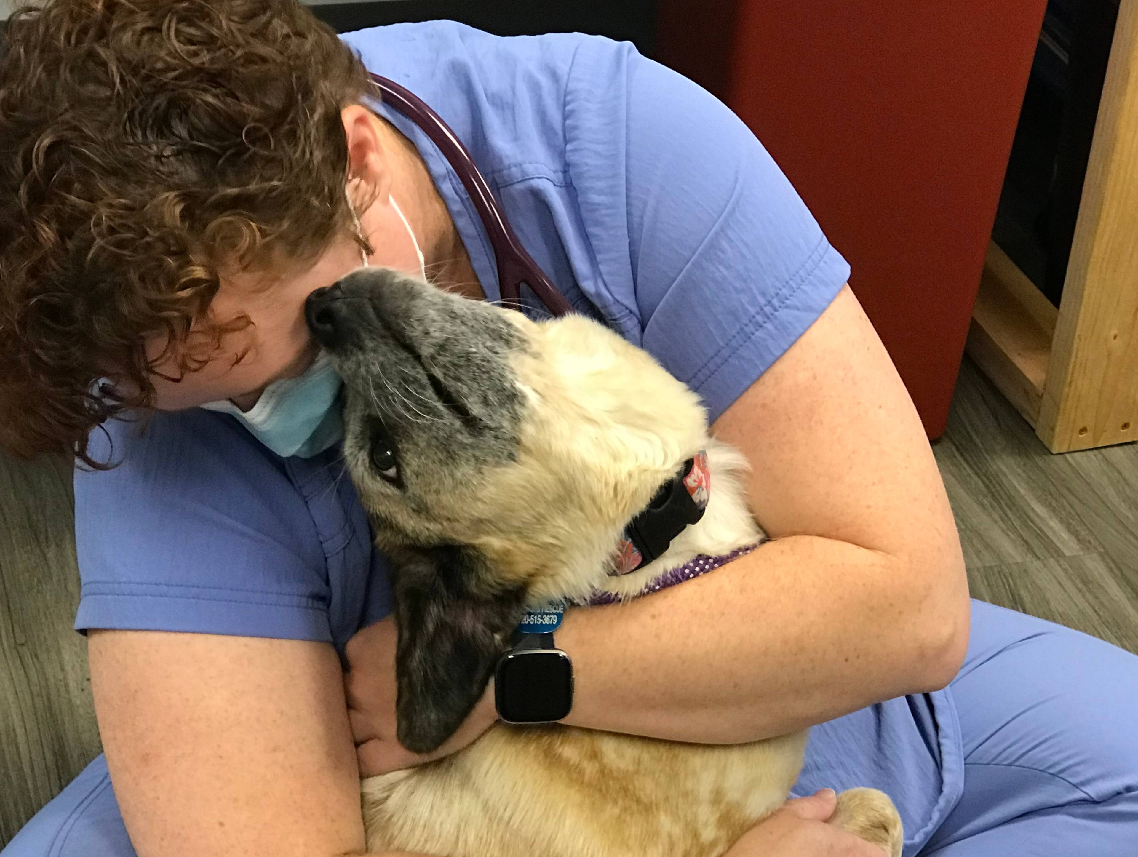 Pet Care Coalition 