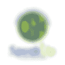 Cameron K. Gallagher Foundation logo placeholder