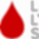 Leukemia & Lymphoma Society Inc logo placeholder