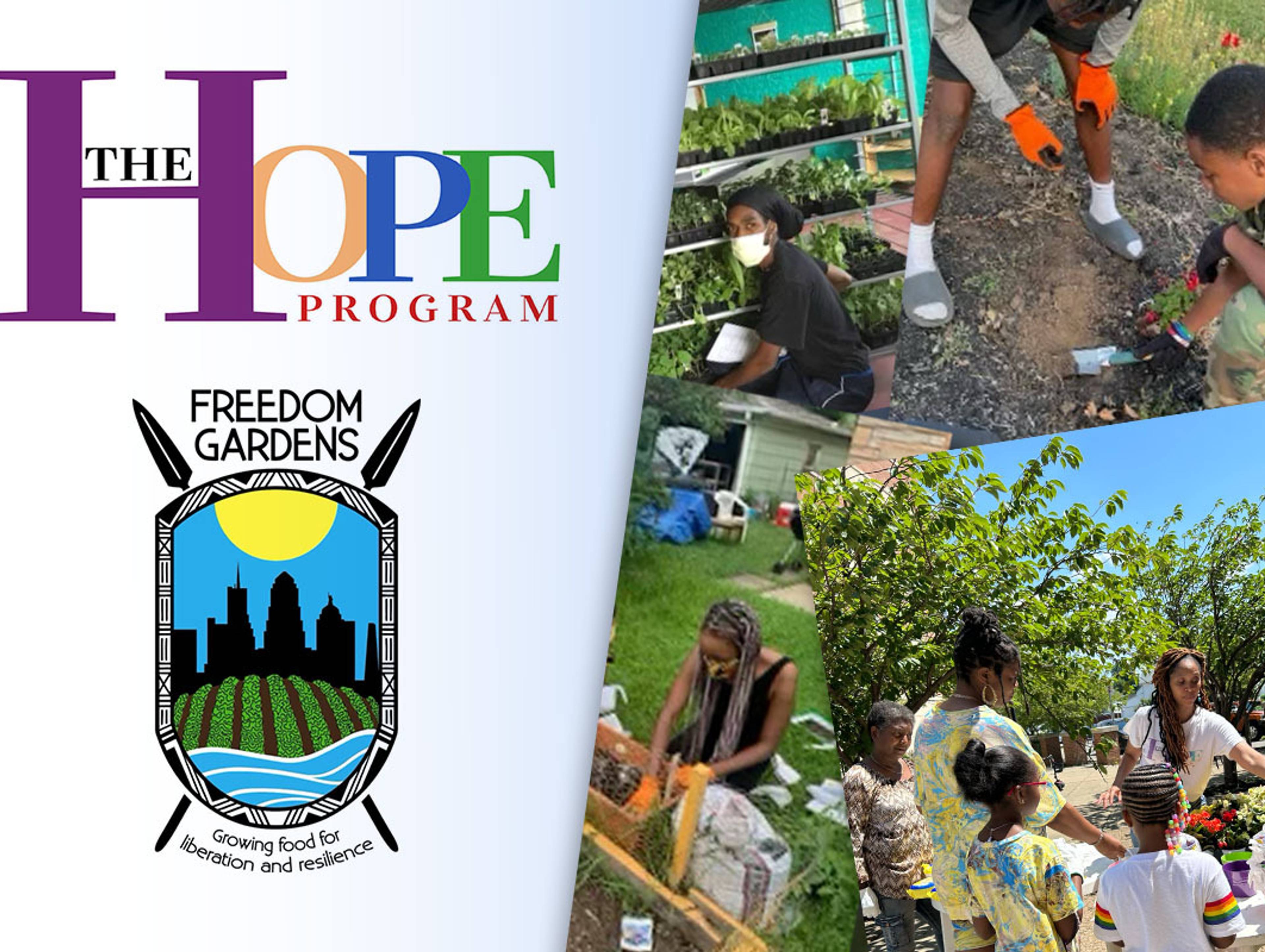 Buffalo Freedom Gardens & Hope Program Incorporated 
