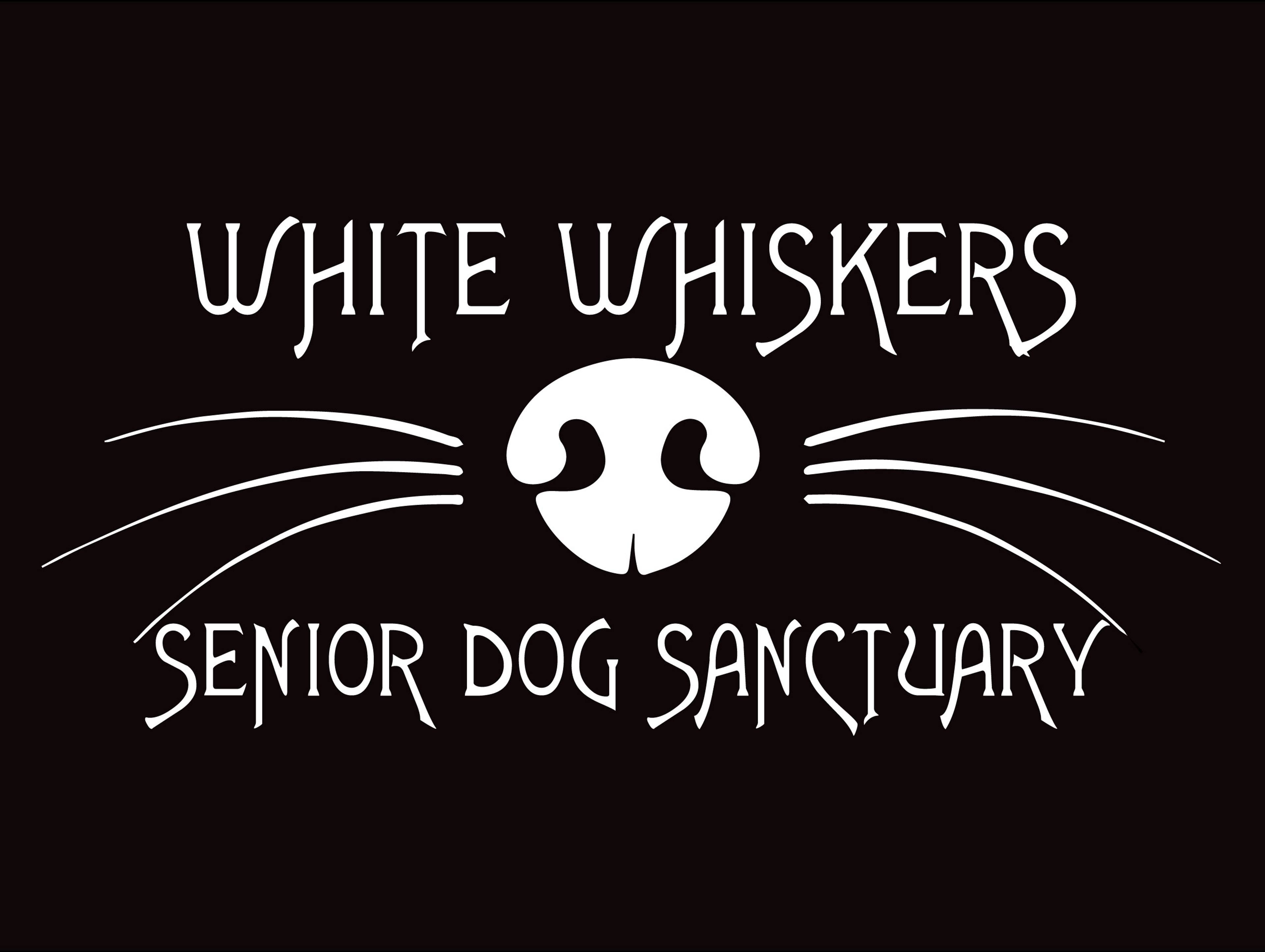 White Whiskers Senior Dog Sanctuary