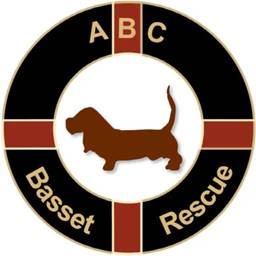 All Bassets Cherished Basset Hound Rescue Inc logo