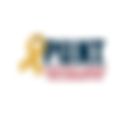 P.U.N.T. Pediatric Cancer Collaborative logo placeholder