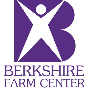 Brand image for Berkshire Farm Center And Services For Youth