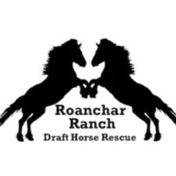 Roanchar Ranch Draft Horse Rescue logo