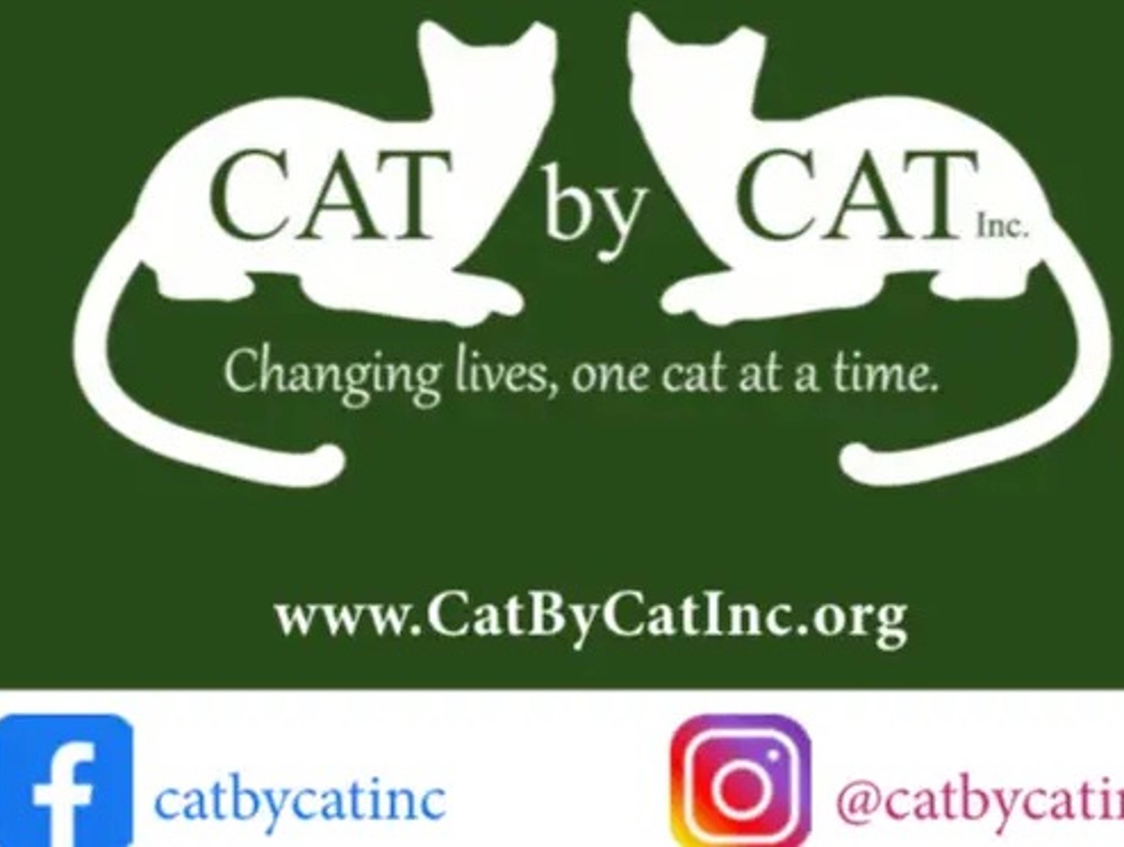 Cat By Cat, Inc.