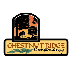 Hunter Kelly Playground - Chestnut Ridge Conservancy  logo