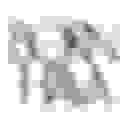 BORNHAVA - Specialized Early Childhood Center Of Western New York Inc logo placeholder