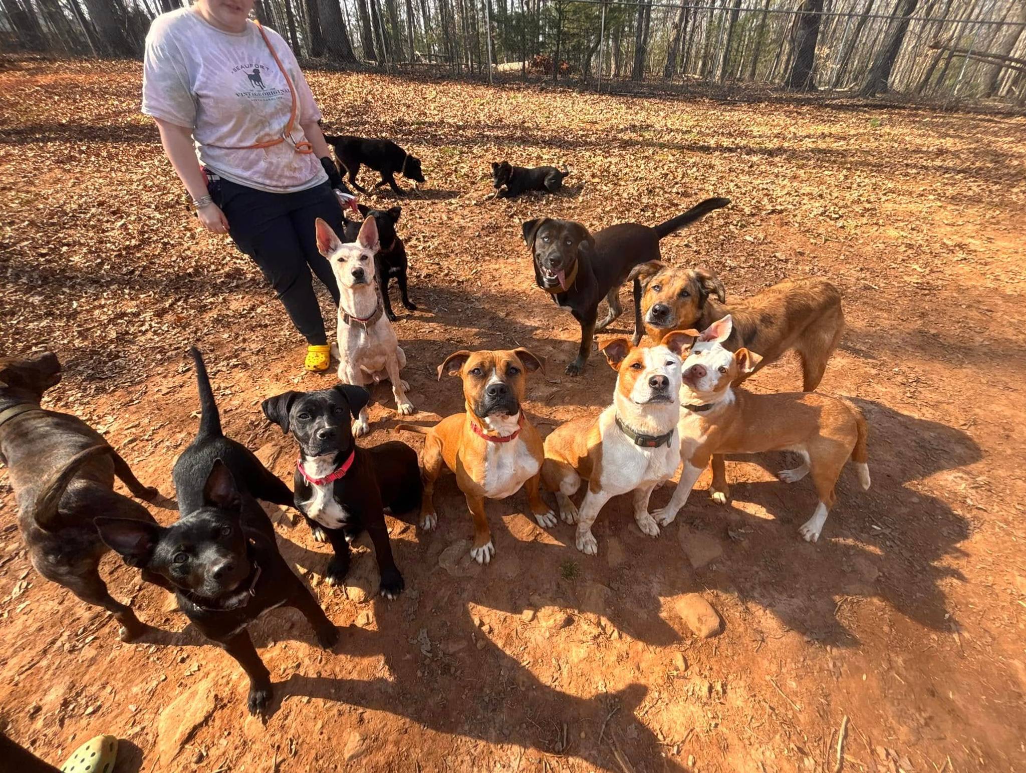 Franklin County Humane Society Inc