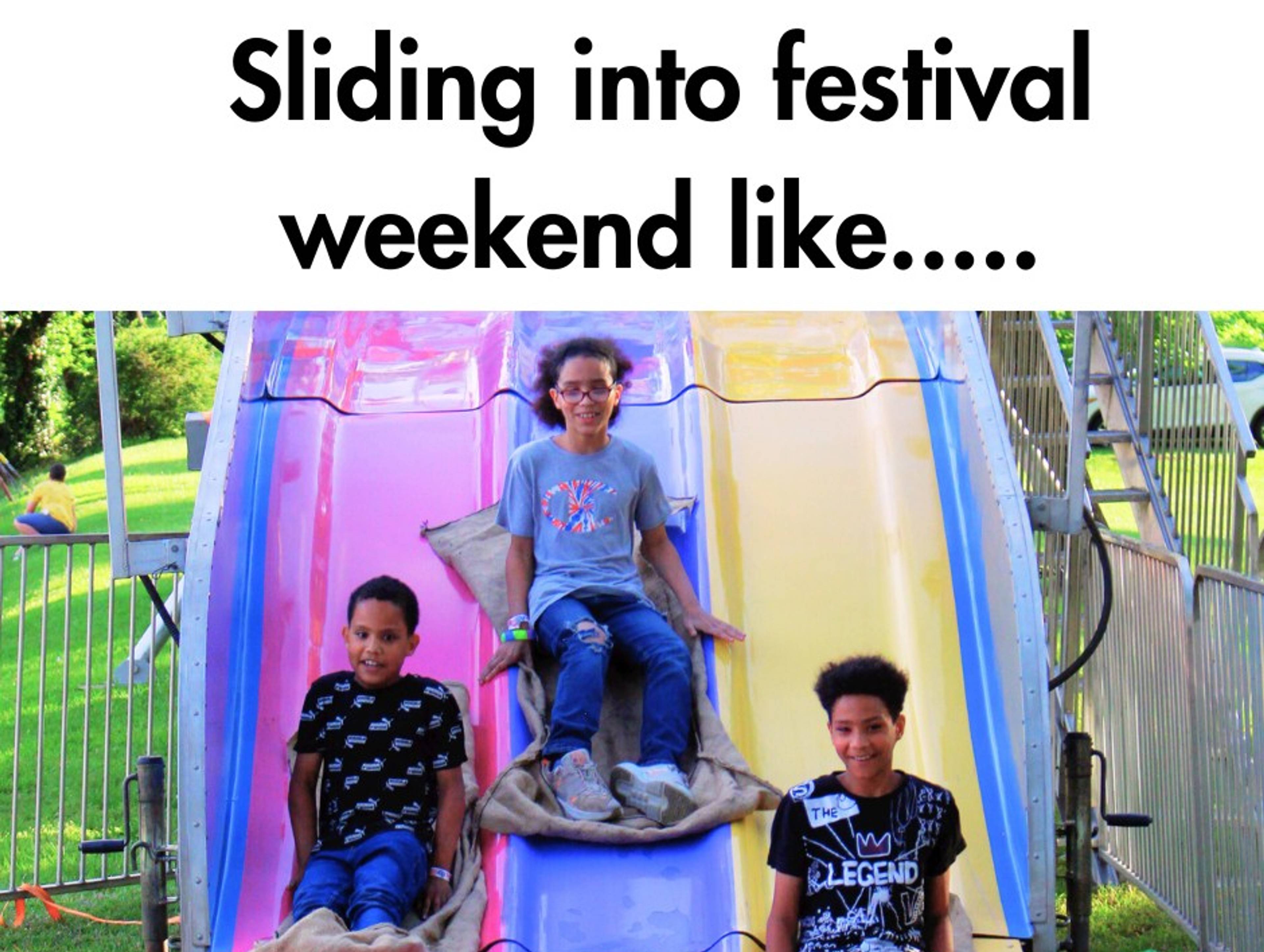 Festival In The Park Of Danville Inc