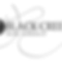 Black Creek Arts Council Inc logo placeholder