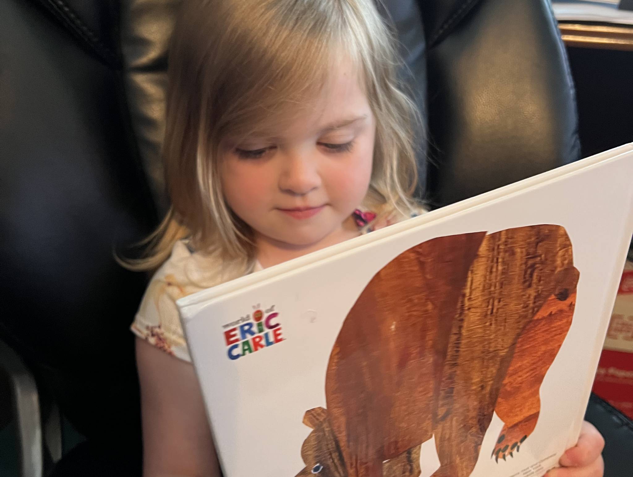 Edgefield County First Steps To School Readiness
