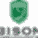 Bison Children's Scholarship Fund  logo placeholder