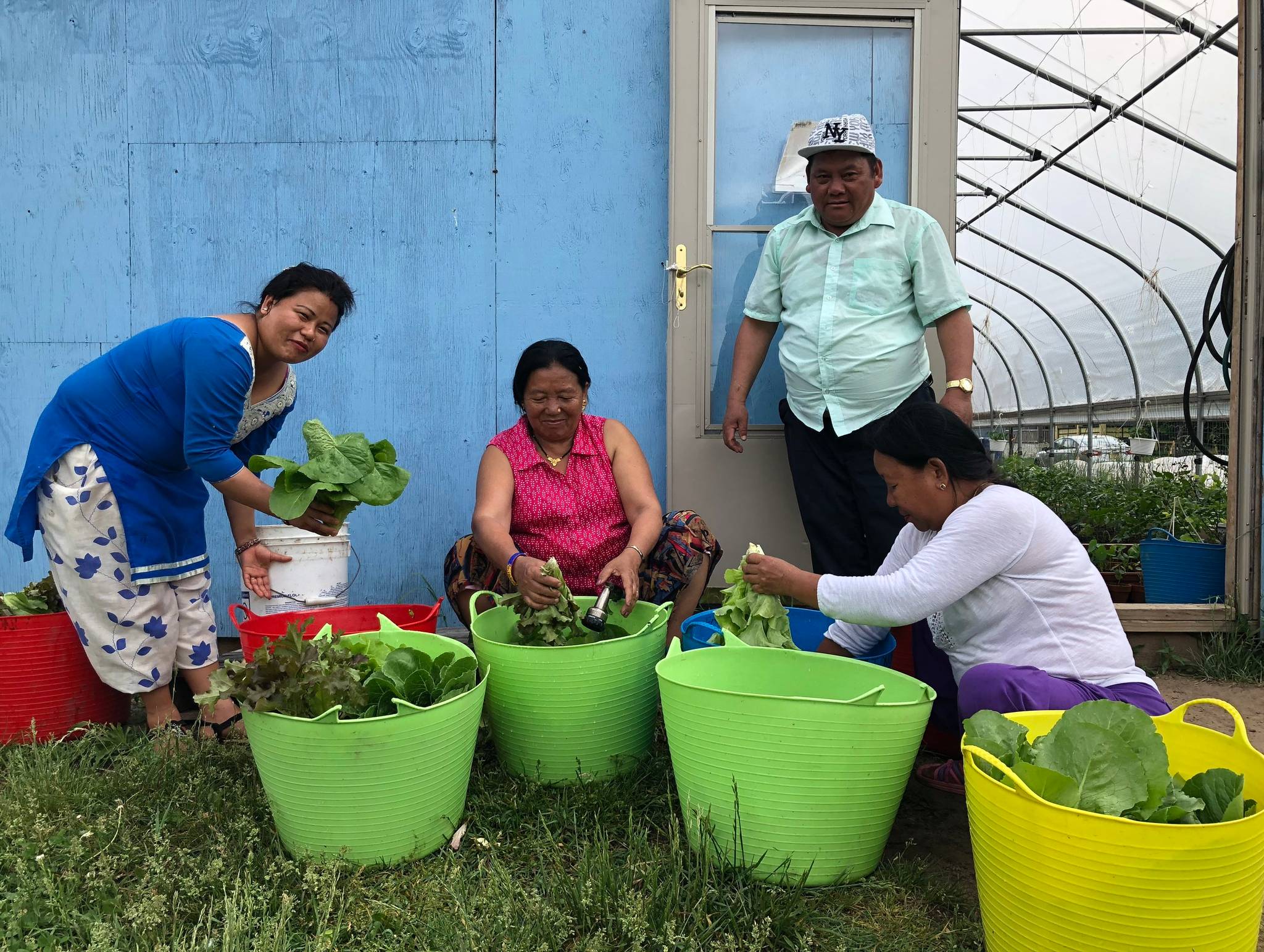 Journeys End Refugee Services Inc. - Brewster Street Farm Program