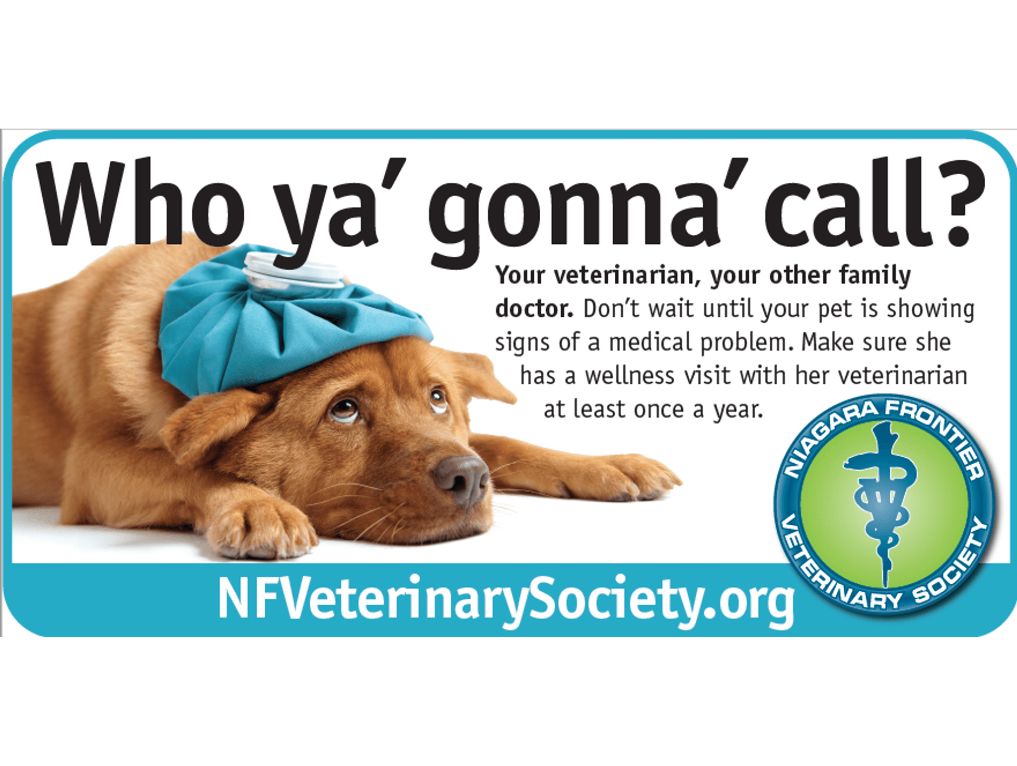 A brown dog wearing a blue ice pack on its head with text encouraging pet owners to call their veterinarian for wellness visits and medical care, from the Niagara Frontier Veterinary Society.