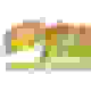 God's Pit Crew Inc logo placeholder
