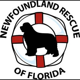 Newfoundland Rescue Of Florida logo