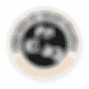 Friends Of Night People Inc logo placeholder