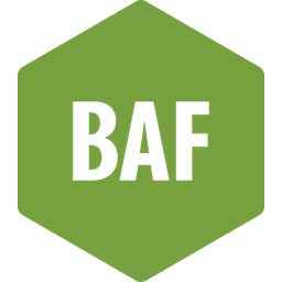 Buffalo Architecture Foundation, Inc. logo