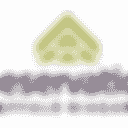 Preservation Buffalo Niagara logo placeholder