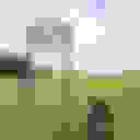 Against All Oddz Animal Alliance logo placeholder