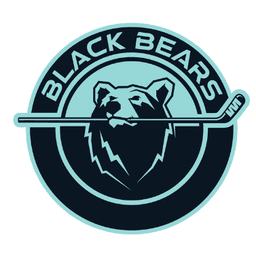 Central Vermont Skating Association logo