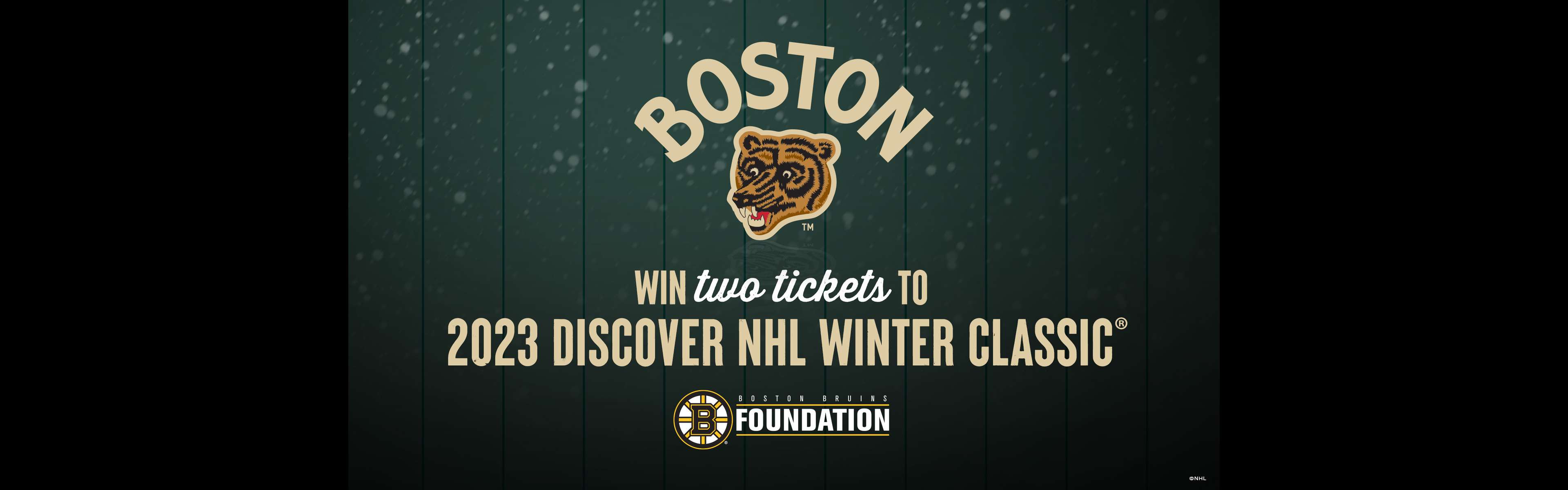 2 Tickets to Winter Classic on January 2nd logo image