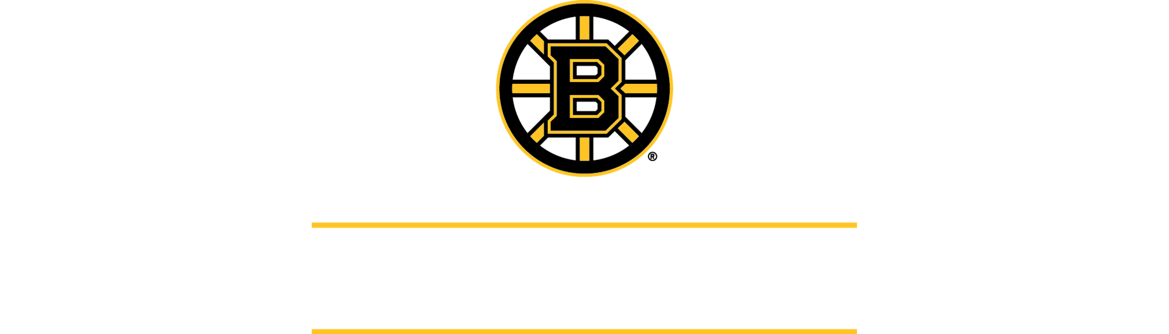 Team Signed Lewiston Strong Jersey logo image