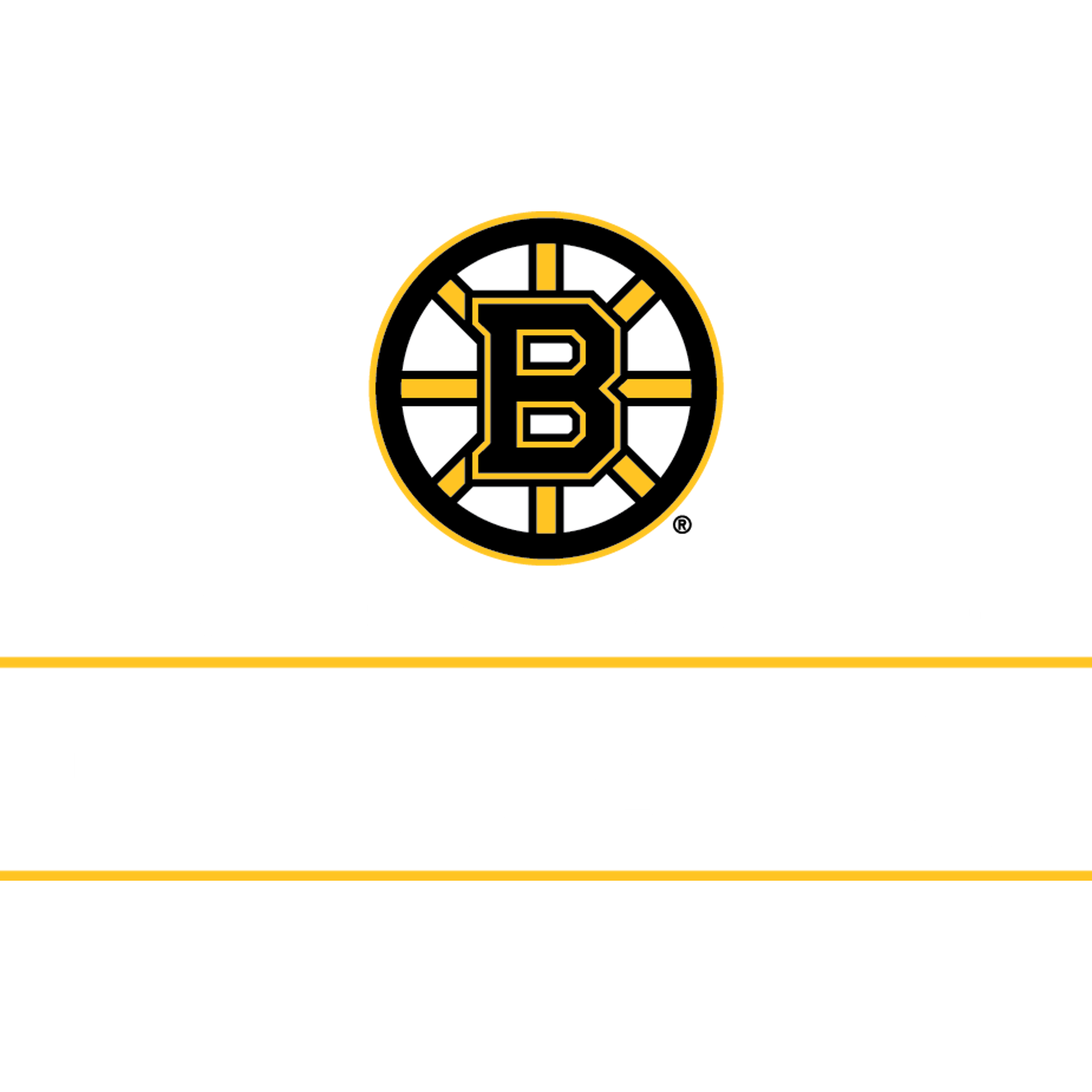 2 Suite Tickets to Bruins Playoff Game 1 logo image
