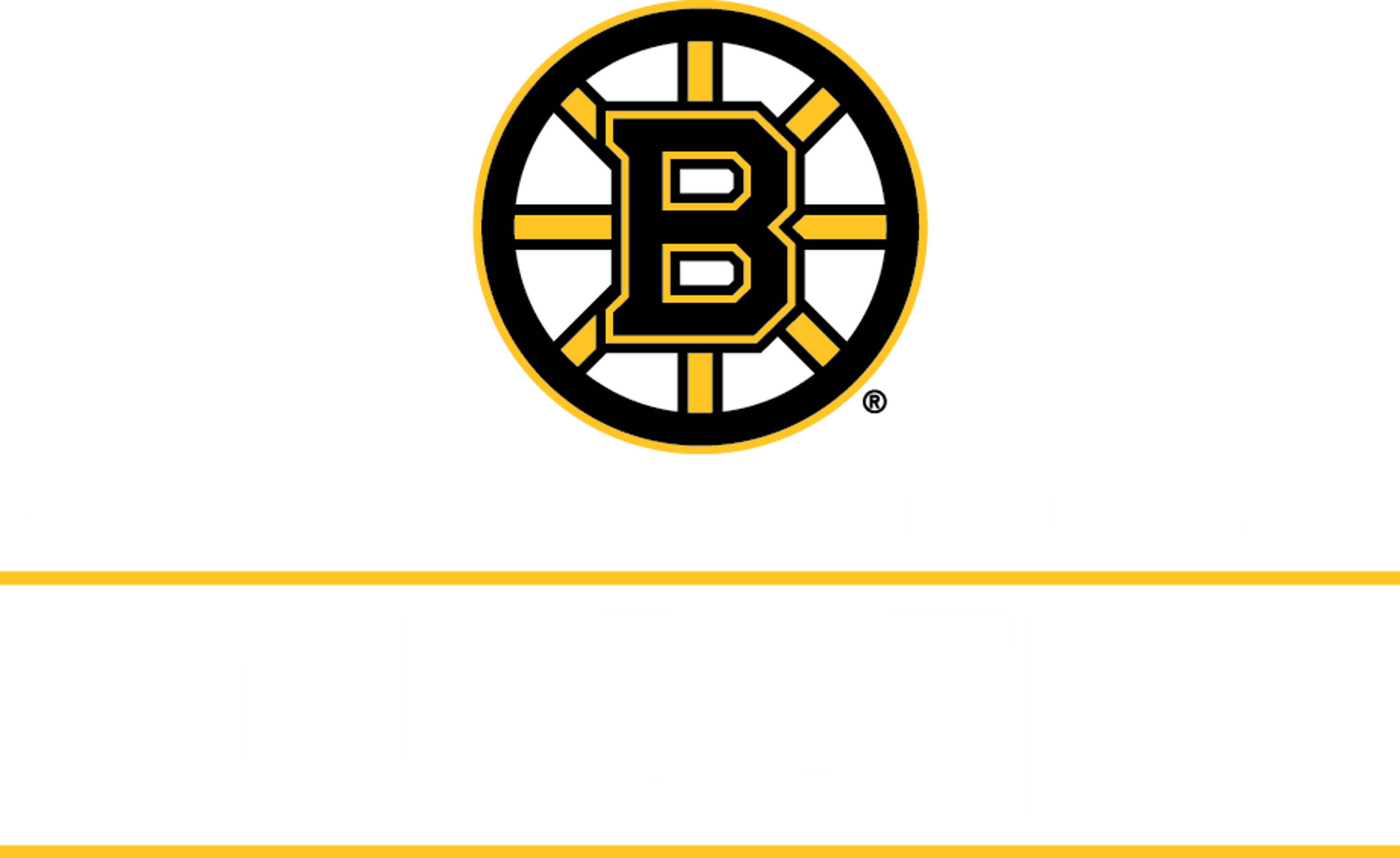 Lewiston Strong Fund logo image