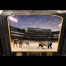 Reward: Winter Classic Frame