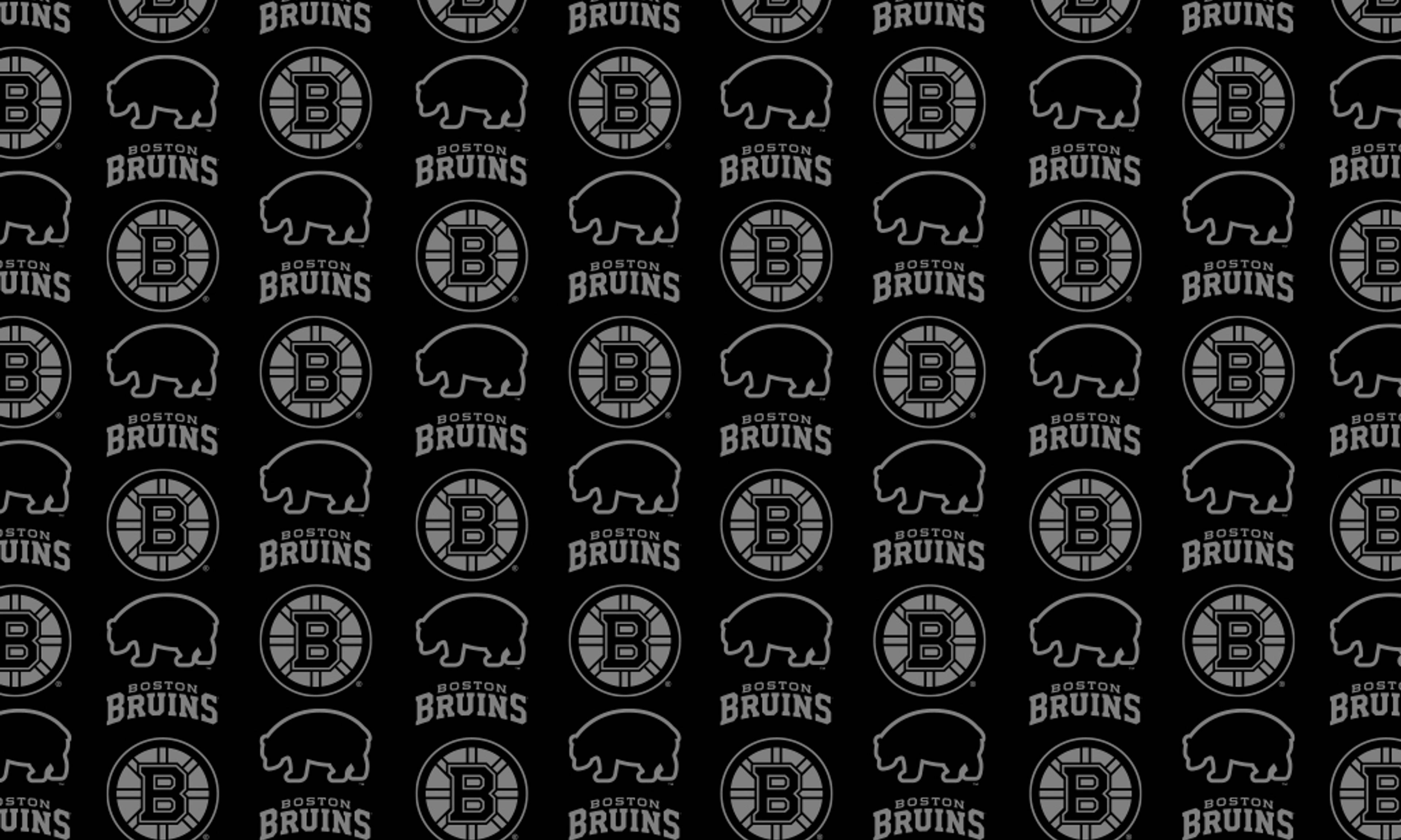 Boston Bruins Foundation - Winning Numbers - Fanthem