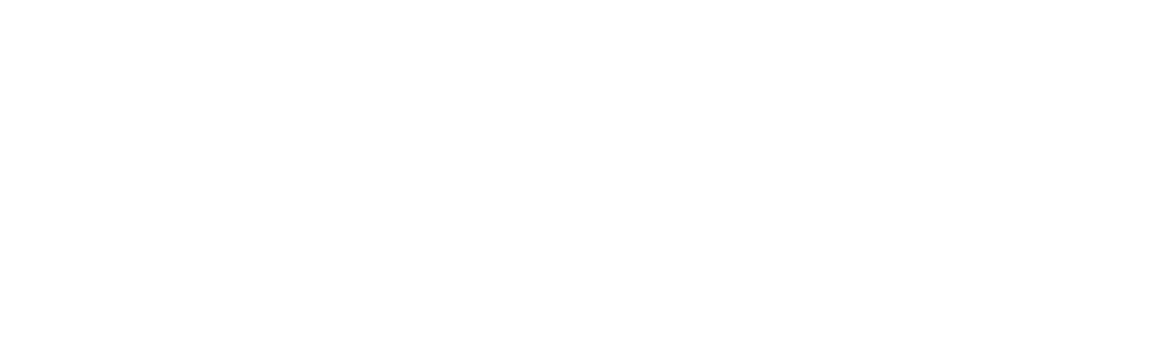 100 Days of Hockey logo image