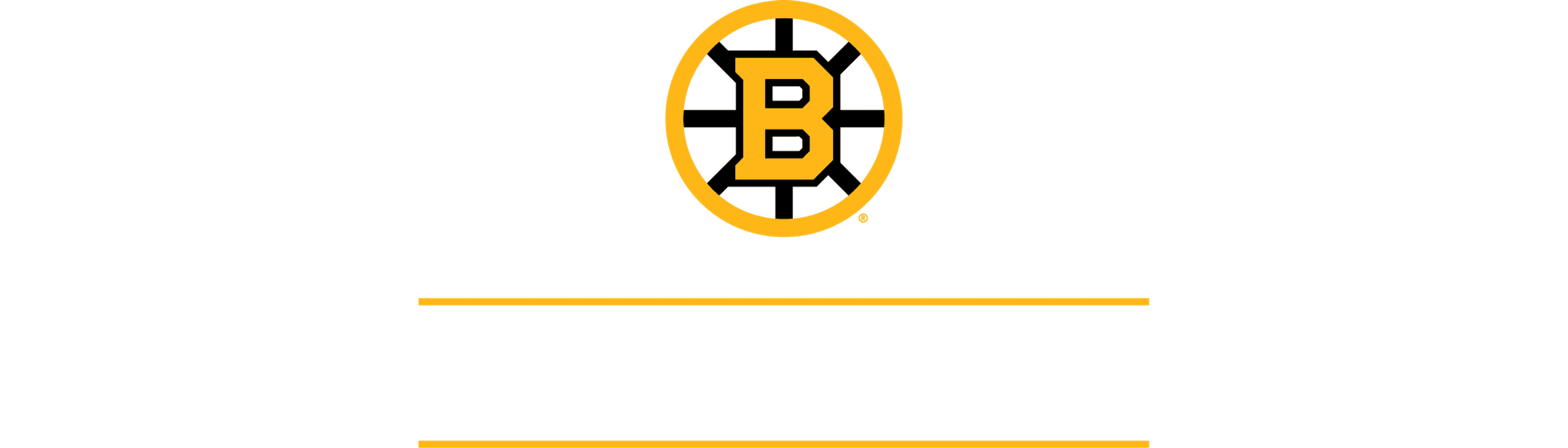 Lewiston Strong Fund logo image