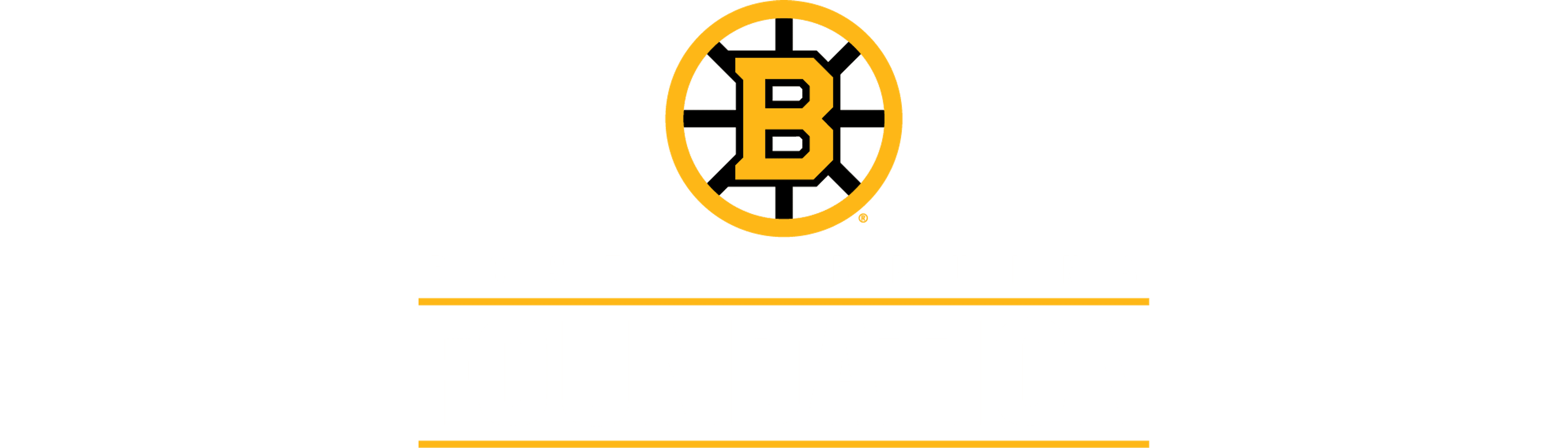 Lewiston Strong Fund logo image