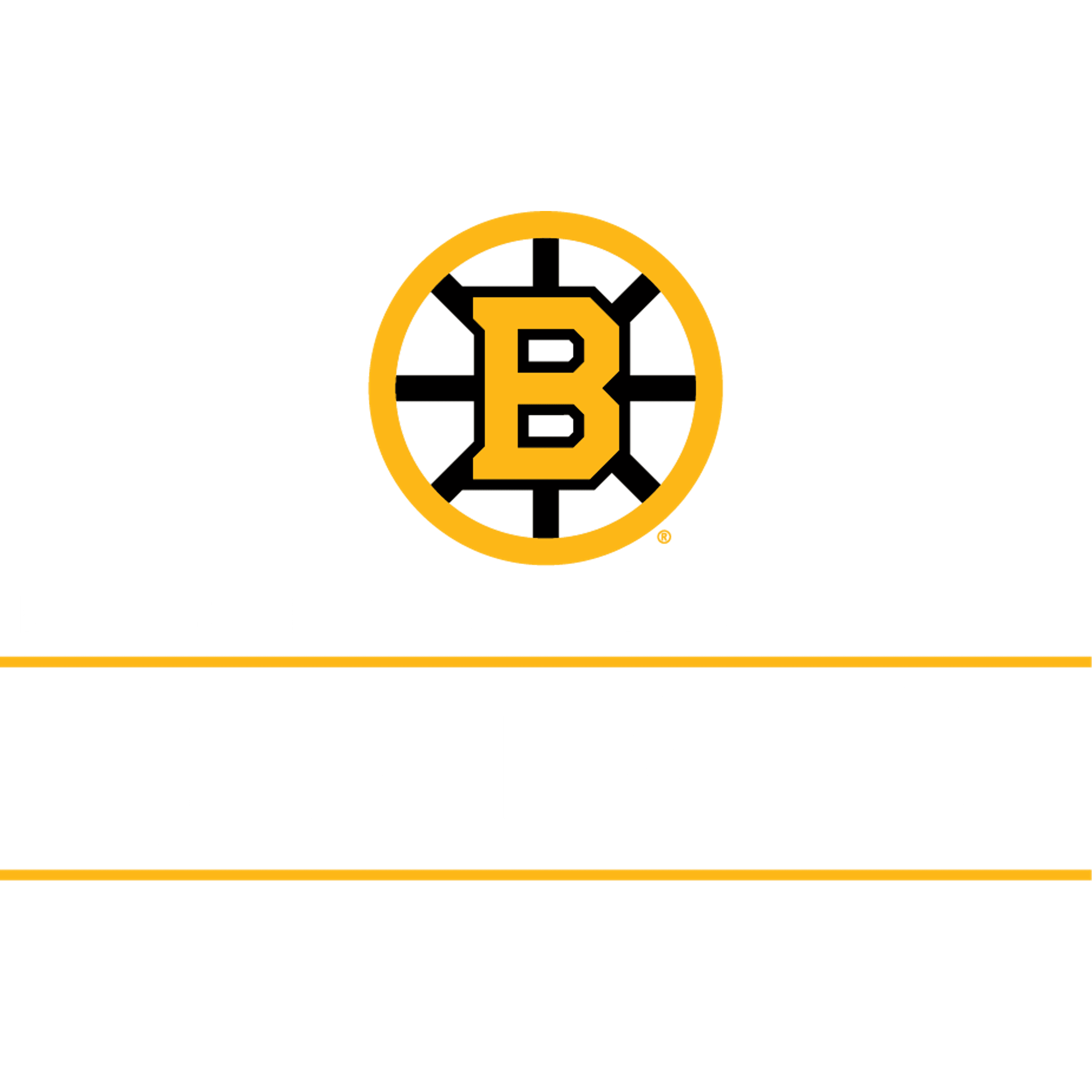 Bruins Foundation Holiday Raffle logo image